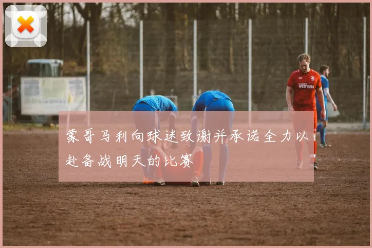 蒙哥马利向球迷致谢并承诺全力以赴备战明天的比赛